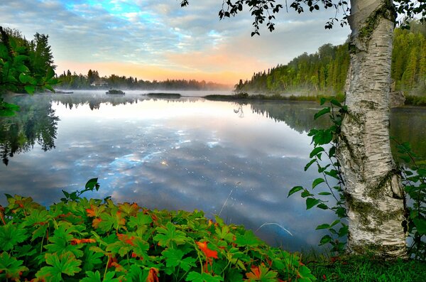 осень, деревья, озеро, утро, туман, Канада, Квебек, леса, природа, берега, пейзаж, Alain Audet