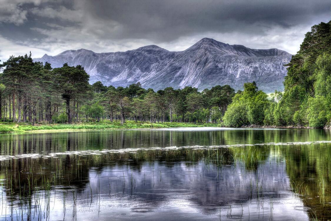 Фото бесплатно обои озеро, горы, лес