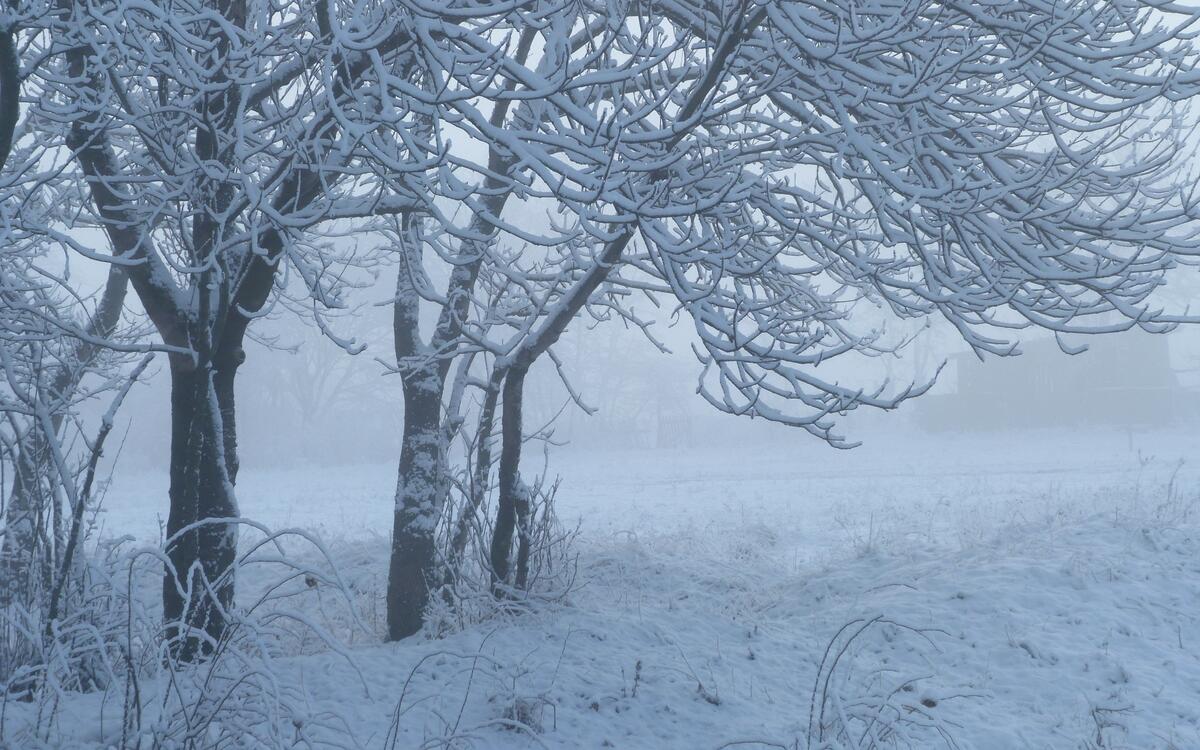 Фото бесплатно зимняя буря, дождь и снег вперемешку, погода