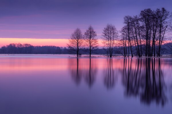 деревья, закат, Narew River, Река Нарев, Польша, Poland, река, отражение
