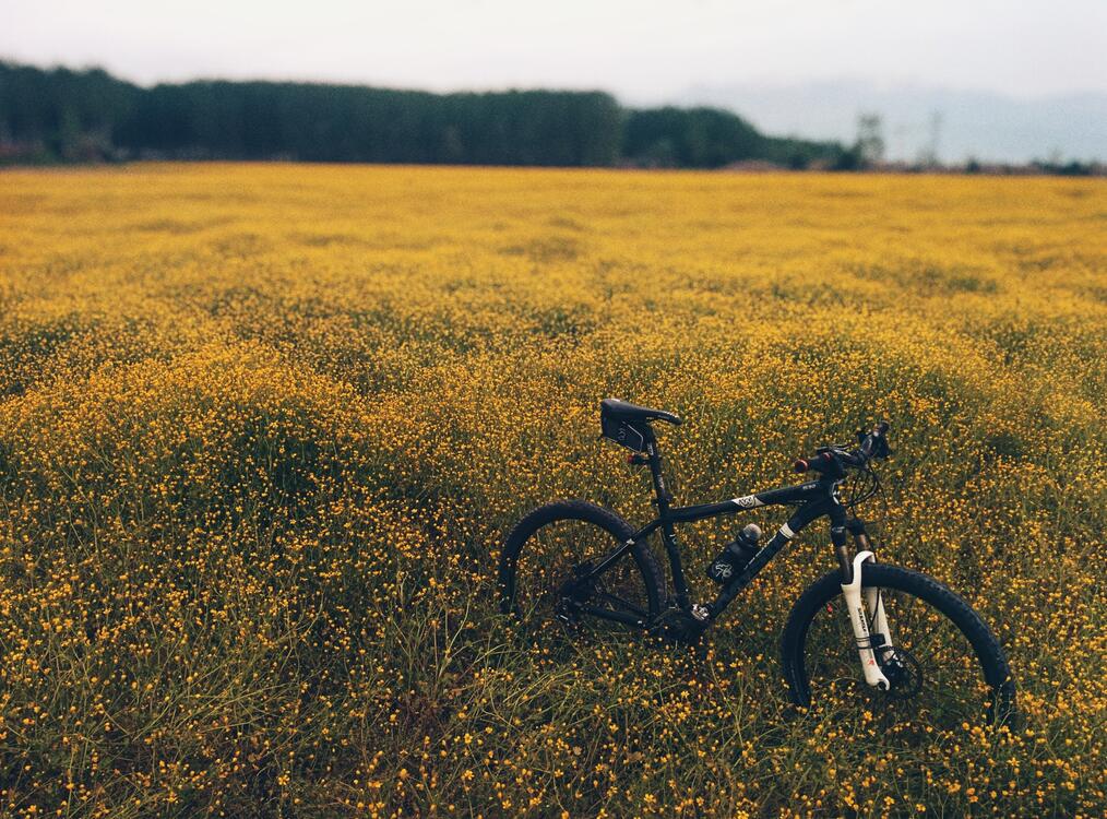 Фото бесплатно обои поле, велосипед, земля