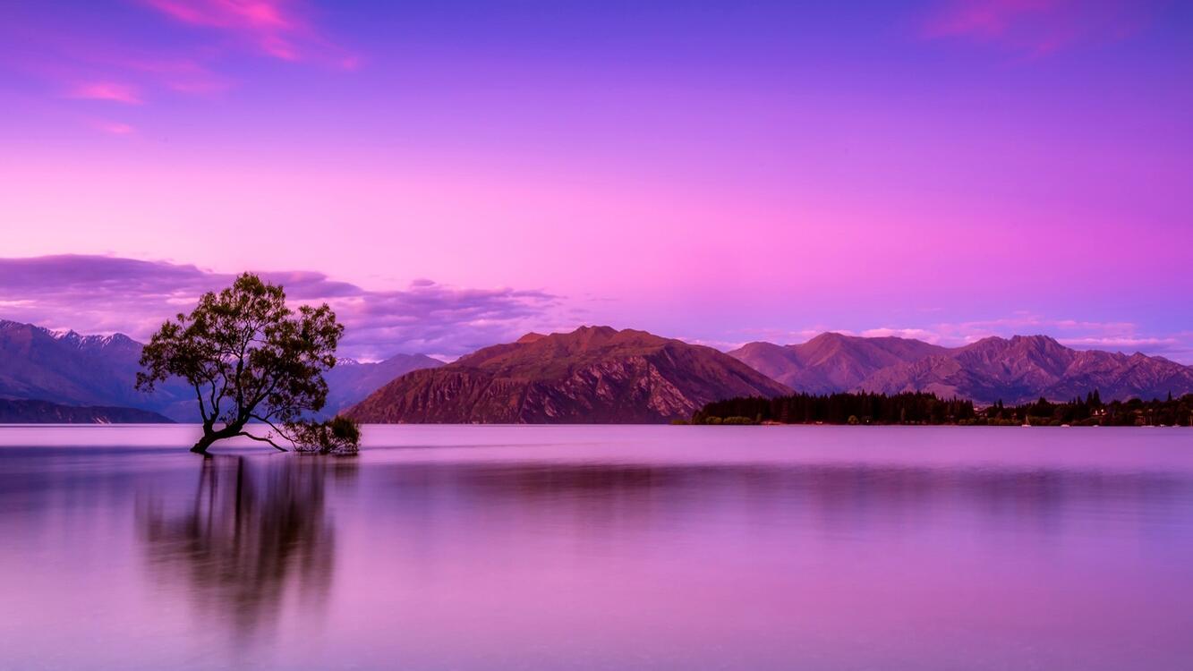 Фото бесплатно одинокое дерево, отражение, горы