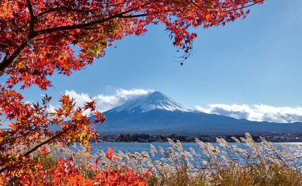 осень, небо, maple, Fuji Mountain, листья, red, гора Фуджи, leaves, Japan, landscape, Япония, colorful, осенние, autumn, клен