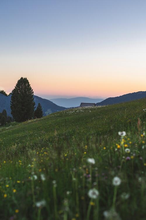 Фото бесплатно обои поле, газон, закат