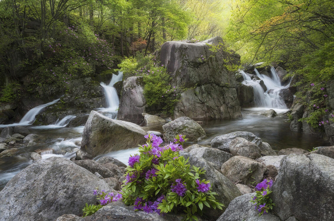 Фото бесплатно Южная Корея, водопад, поток