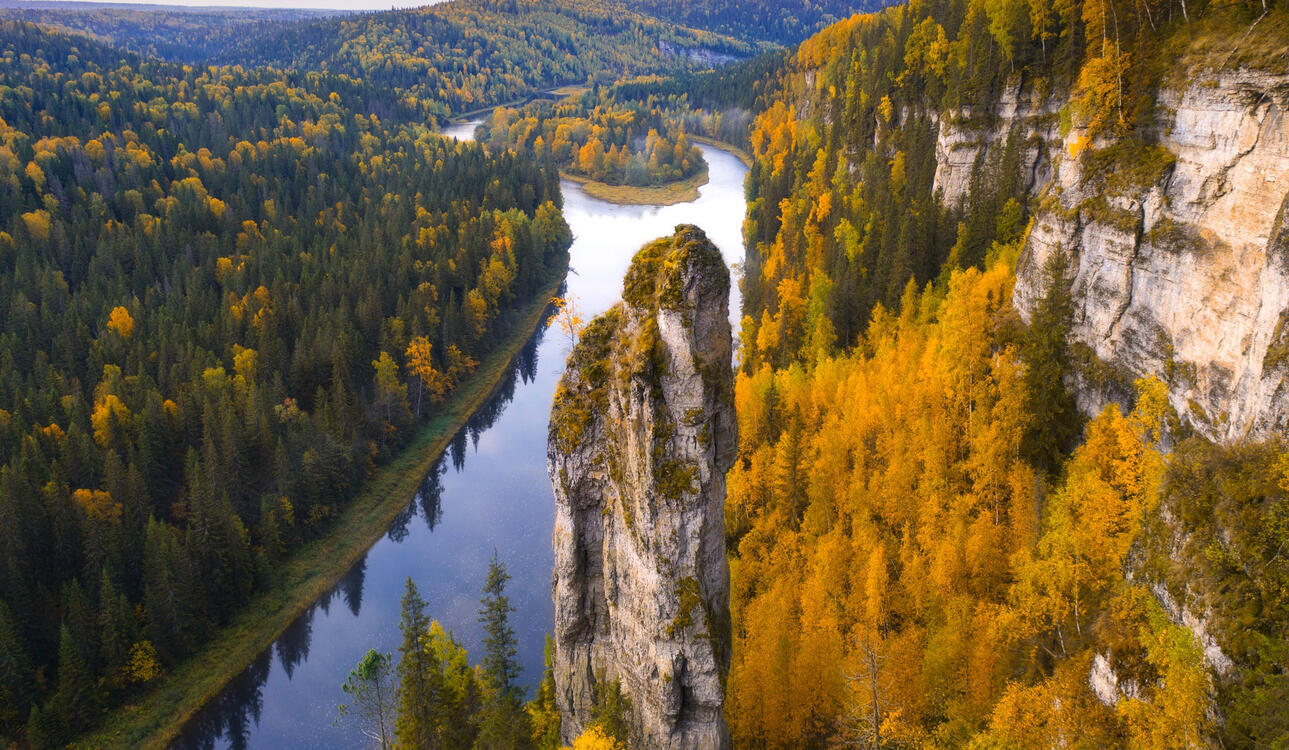 Фото бесплатно река, лес, осень