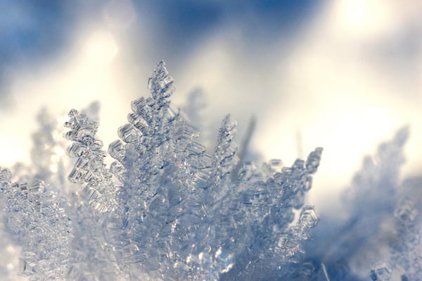 зима, лед, ледяные кристаллы, максросъемка, мороз, морозная погода, морозный, погода, простуда, сезон, снег